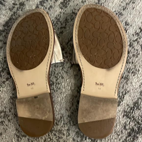Gold Coach slides - Picture 3 of 4